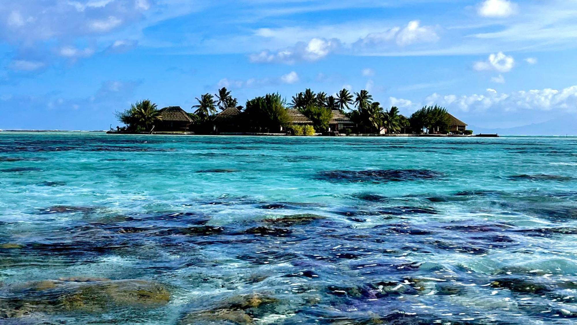 Eden Private Island Tahaa Hotel Patio  ภายนอก รูปภาพ