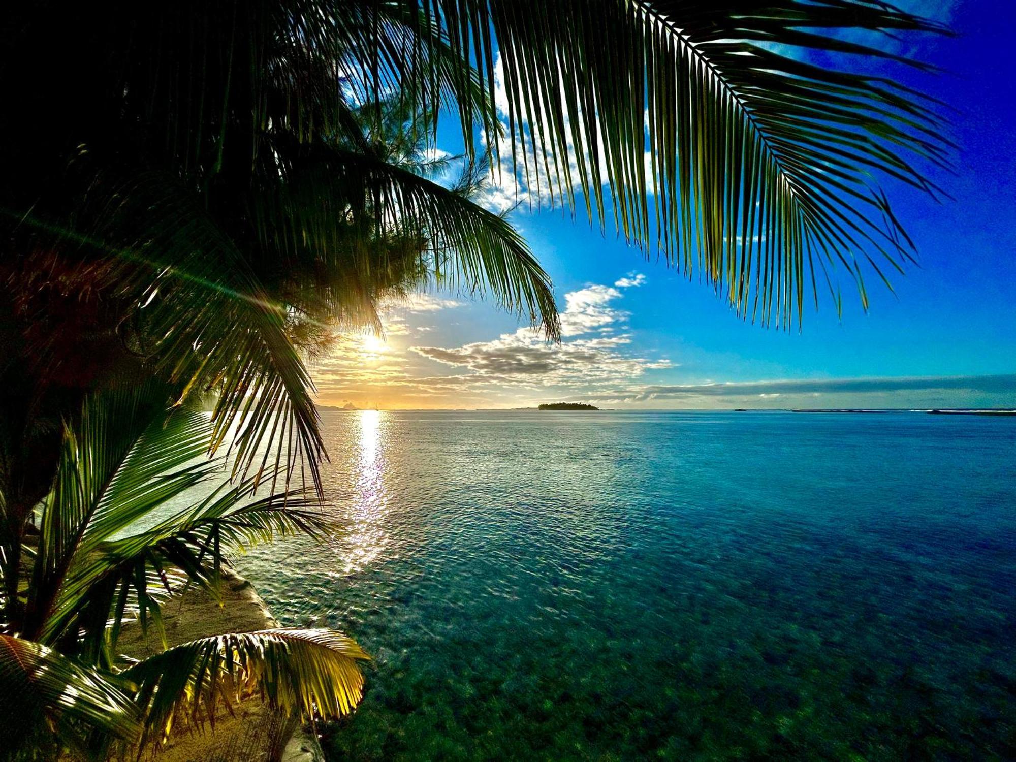 Eden Private Island Tahaa Hotel Patio  ภายนอก รูปภาพ