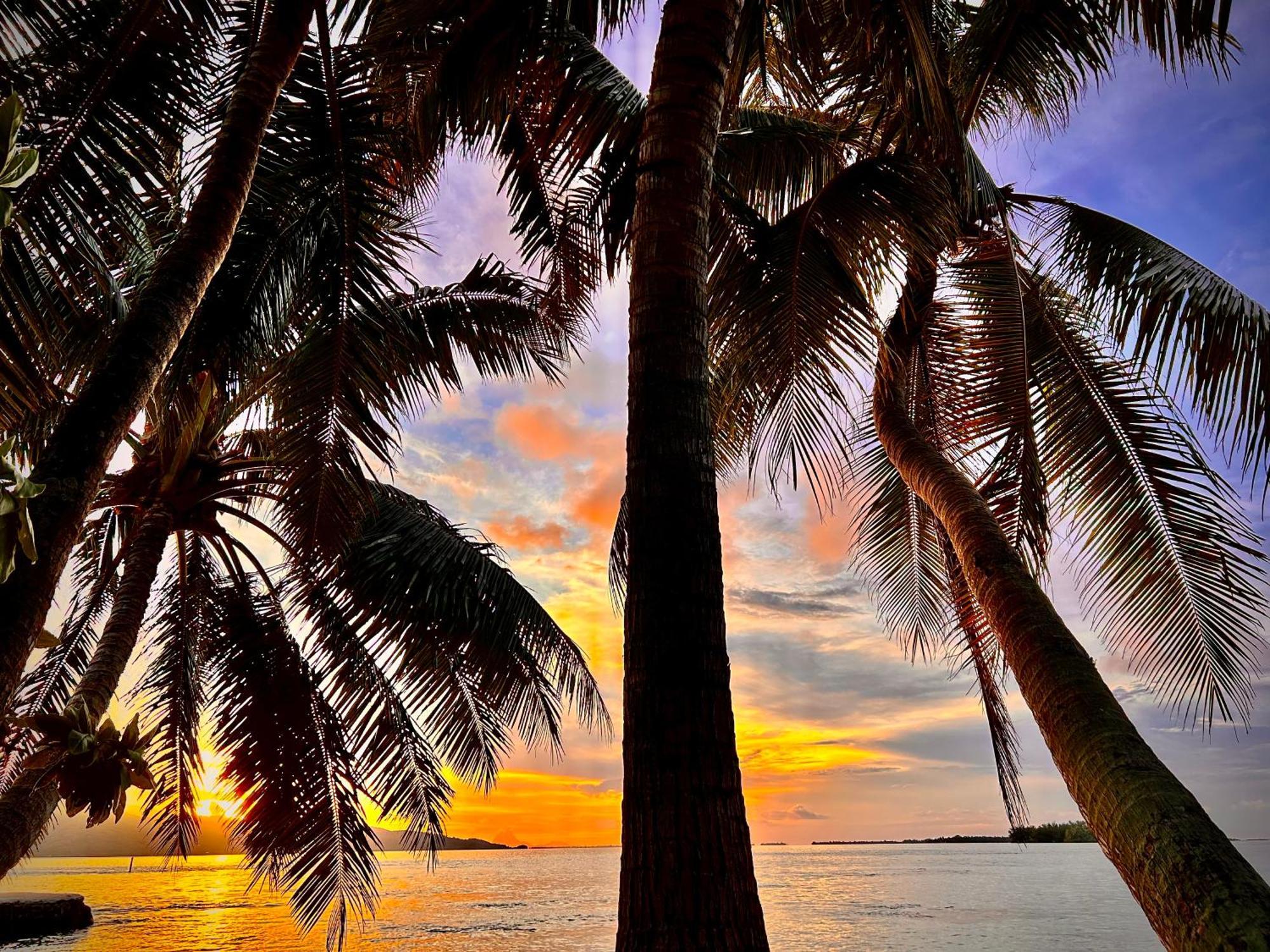 Eden Private Island Tahaa Hotel Patio  ภายนอก รูปภาพ