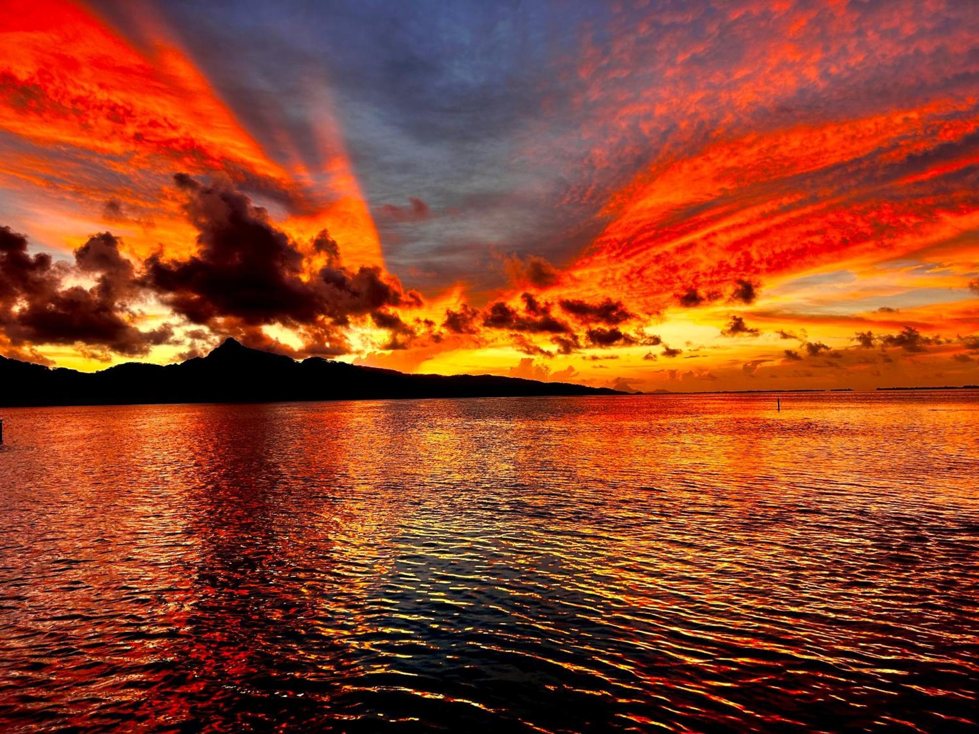 Eden Private Island Tahaa Hotel Patio  ภายนอก รูปภาพ